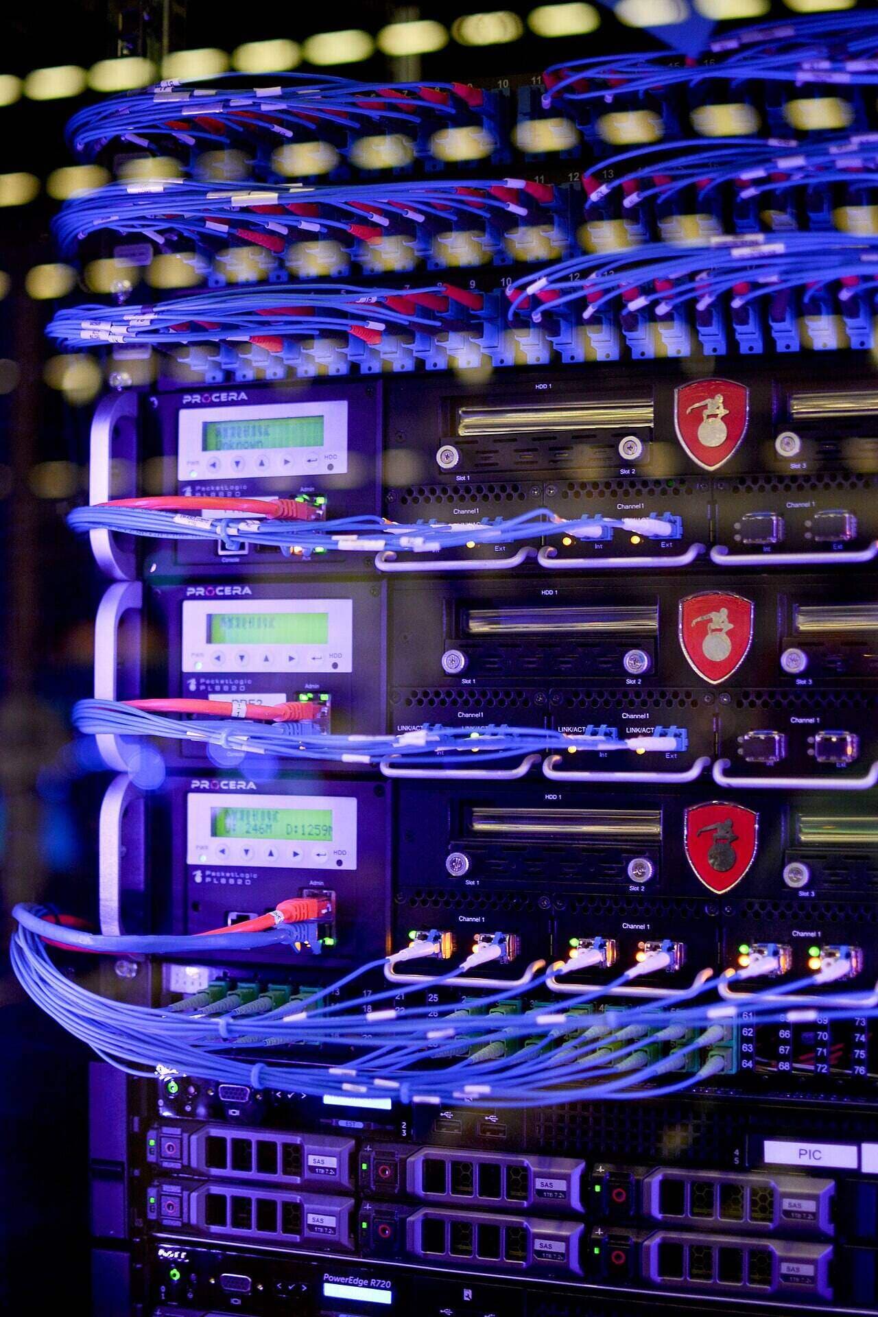 A network rack densely patched with fibre and Ethernet cables above servers